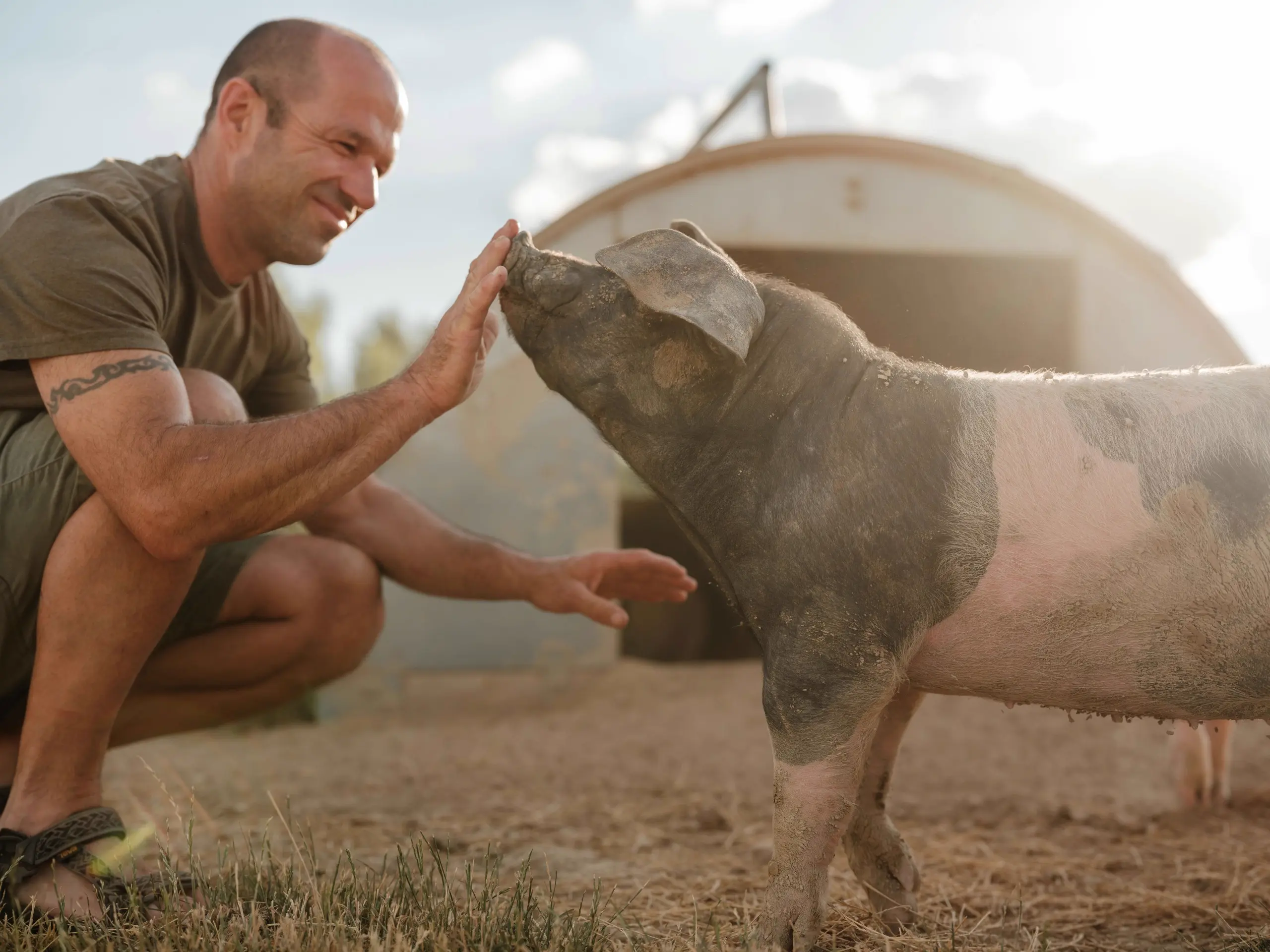 Rudi beim Schweinefüttern